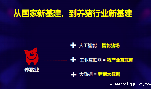 您所能想象到的未来养猪业，是怎样的？