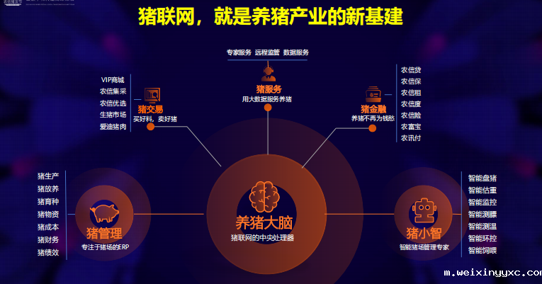 您所能想象到的未来养猪业，是怎样的？