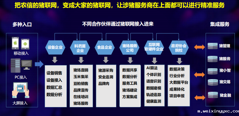 您所能想象到的未来养猪业，是怎样的？