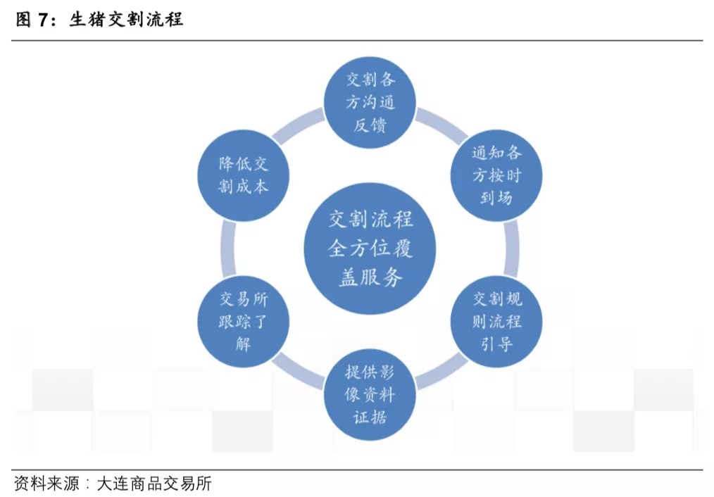 重磅！大商所将于7月10日开展生猪期货仿真交易！详解交易合约