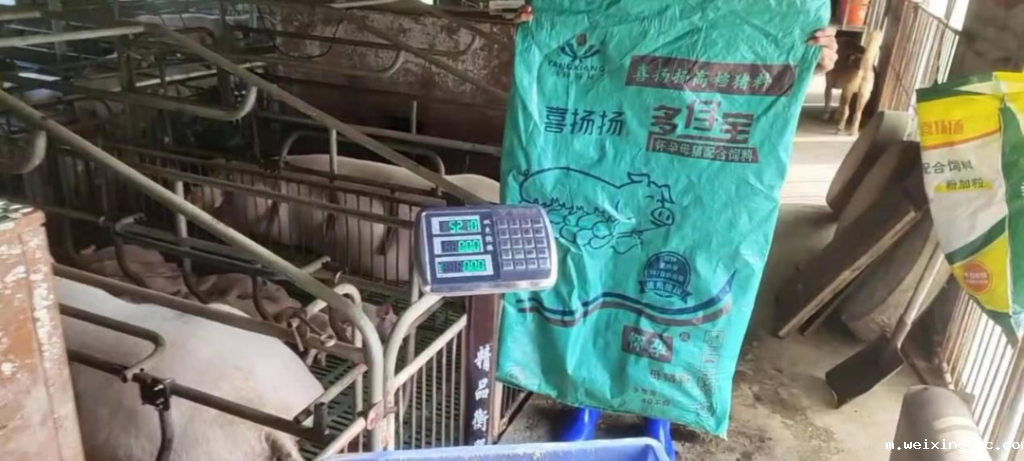 窝均产仔17头、均重3.03斤！还有什么比用17年更好的评价？