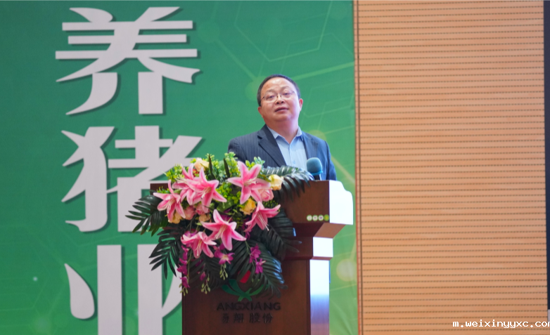 养猪进入成本淘汰赛！看扬翔专家给猪场支招