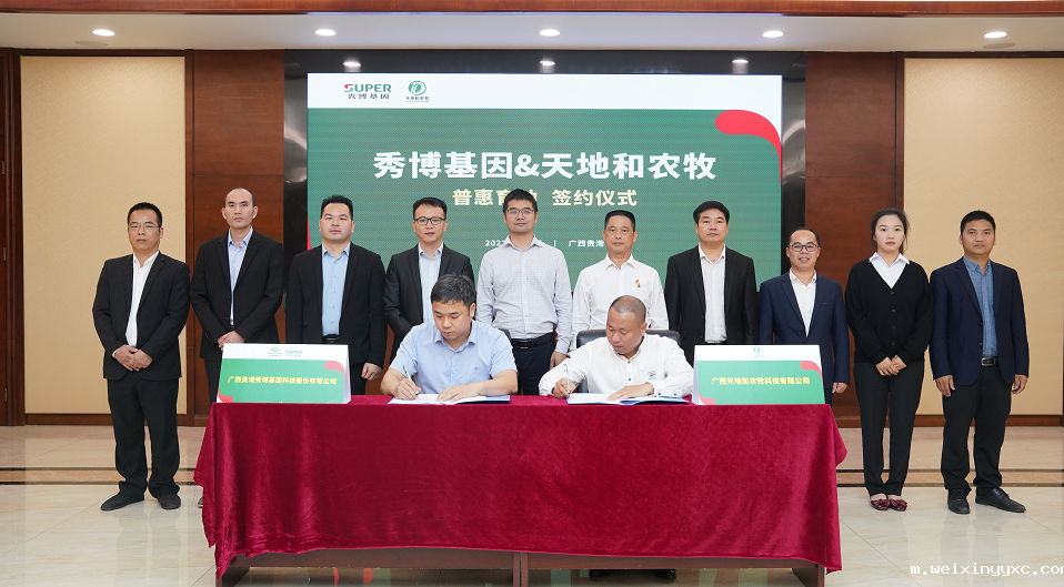 下半年行情或优于上半年？！当下优化猪群提效率是关键