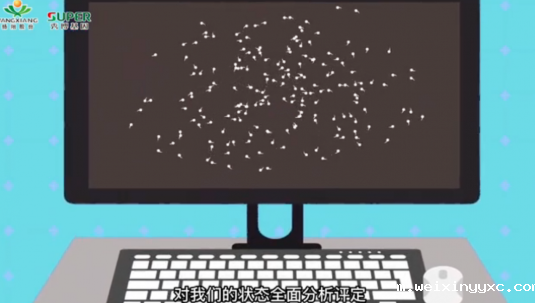 淘汰率高达80%！在扬翔猪场上班可太卷了