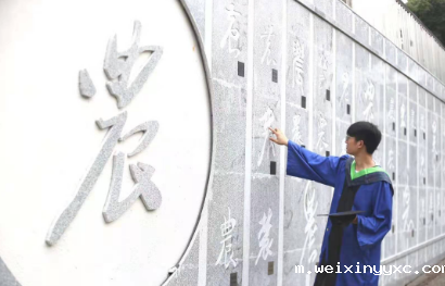 ​“录取吧”！毕业一起轻松养猪