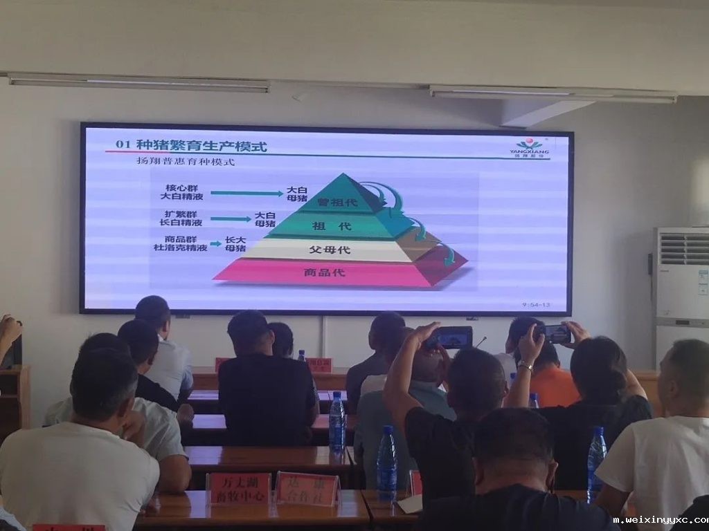 秀博基因联合武穴市畜牧兽医发展中心召开高效养猪技术交流会