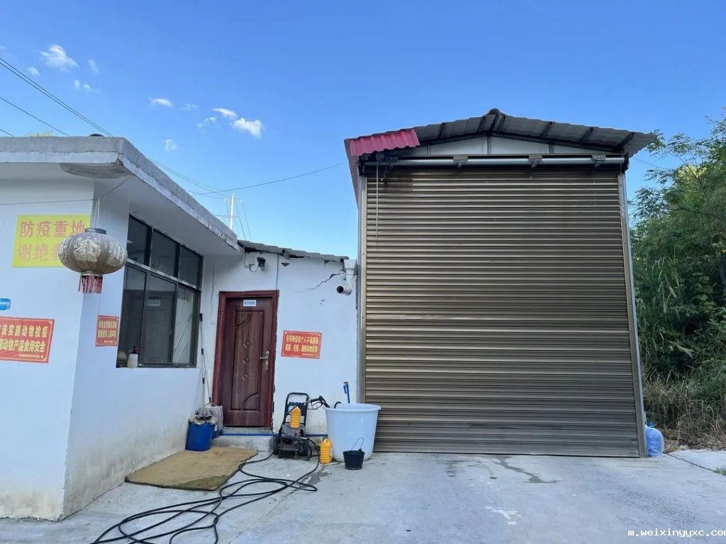 psy26头、产仔数12头、分娩率92%！这家猪场为何如此优秀？