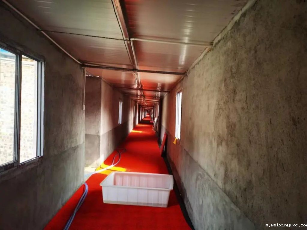 psy26头、产仔数12头、分娩率92%！这家猪场为何如此优秀？