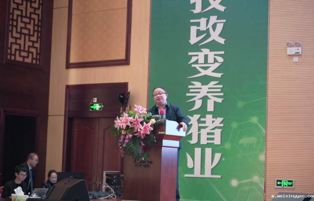 从ChatGPT爆火看智能养猪，养猪人会被取代吗？