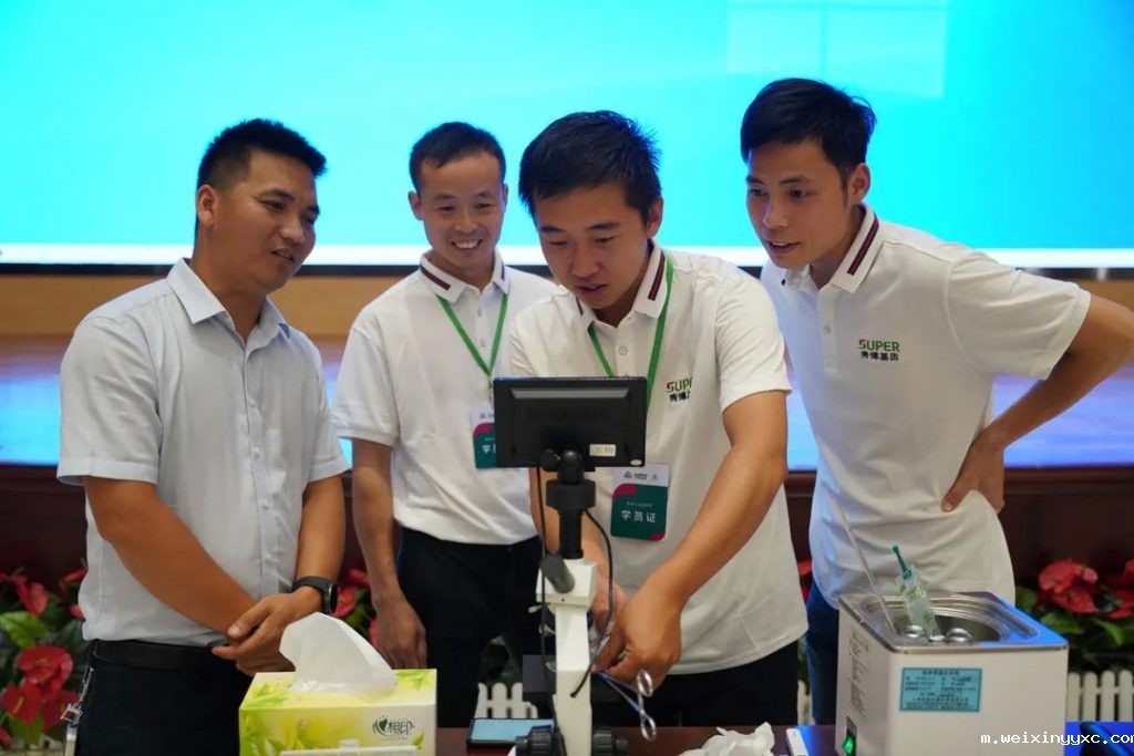 一条生猪产业链，链起千家与万户