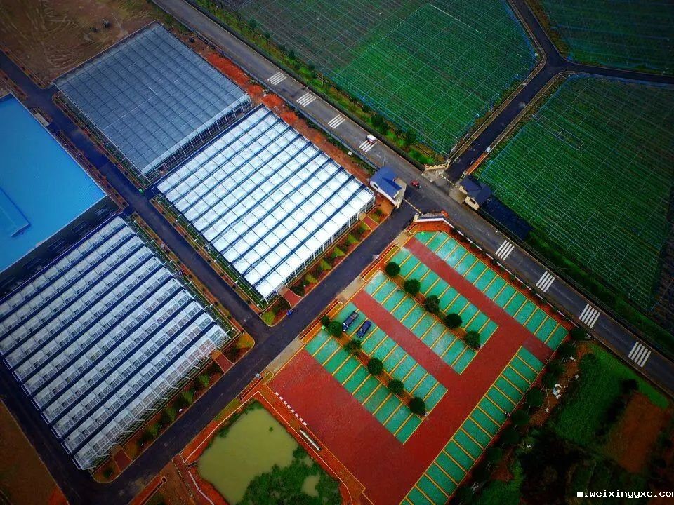 熬下去就是胜利！4000多头规模猪场这样度过低迷期